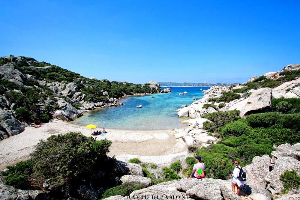 http://www.hotelfree.it/itinerari_Sardegna/img/isola_caprera.jpg