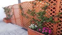 Casa dei Fiori zona Costiera Amalfitana
