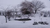 Appartamento in campagna Ferrara x4
