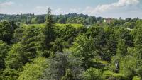 Casa Vacanze Residenza Bellaria Park
