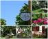 Anita Bed and Breakfast