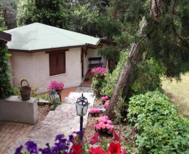 Chalet/BaitaBaita Pettirosso
