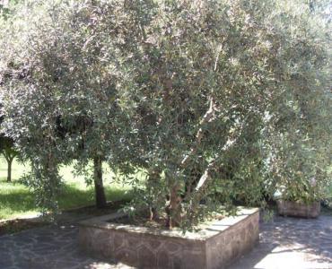 Casa VacanzeCasa vacanza Maria Grazia