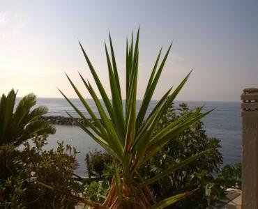 AppartamentoCasa Terrazza Vista Mare