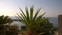 Casa Terrazza Vista Mare