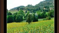 Fattoria Agrituristica 