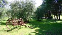Fattoria Agrituristica 