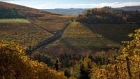 Camera nelle Langhe 
