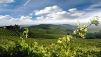CA' Martina Vacanze in Monferrato