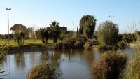 Salento da scoprire: vacanza in masseria