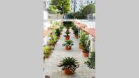 Al Cortile