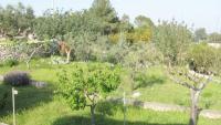 Villa Giulia Immersa nel Verde al Mare