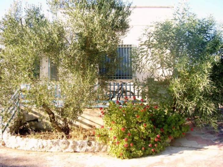 Intera Casetta in campagna salentina