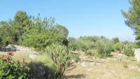 Villa Giulia Immersa nel Verde al Mare