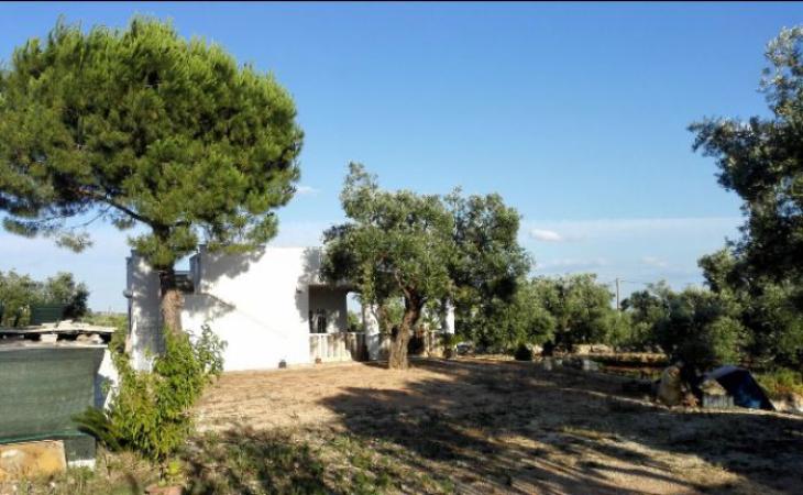 Casa vacanza tranquilla