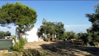 Casa vacanza tranquilla