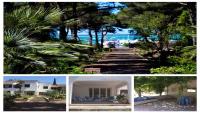 Casa Vacanze 1 in villa con giardino