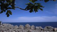 Bed & breakfast villa Apollonia - Salento
