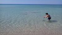 Salento Puglia,  casa vacanza 