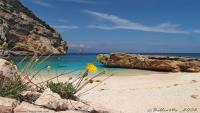  Cala Gonone (NU) vicino alla spiaggia