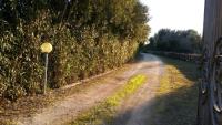 Casa a 3Km dalle spiaggie di Orosei