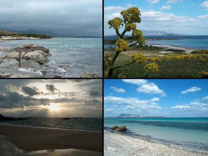 Sardegna  vacanze mare e  giardini. 