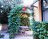Casa vacanza in Sardegna  ad Alghero 