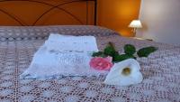 Il Piccolo Baglio / Cozy House