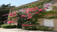 Casa  Belvedere - Santa Ninfa - Trapani