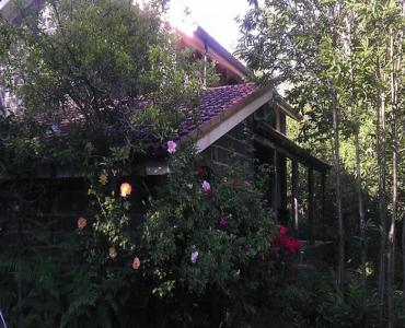 Chalet/BaitaChalet sull'Etna 