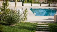 Casa vacanze con piscina vista mare