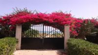 Villa fronte mare