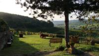 Podere Val di Gallo vacanze nel Chianti