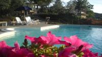 Podere Val di Gallo vacanze nel Chianti