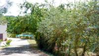 Nel verde delle colline lucchesi...