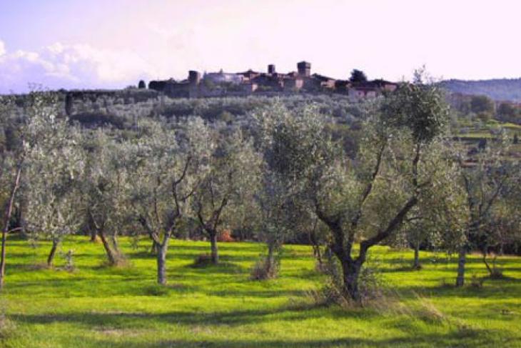 Luminosa mansarda sui colli rigomagnesi