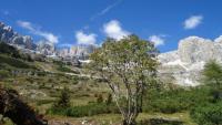 Vacanza ai piedi delle Dolomiti di Brenta