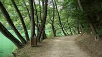 B&B Appartamento Domusflavia Trentino