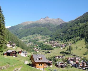 Casa VacanzeAppartamento immerso nella natura