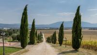 Appartamento con piscina vicino  Assisi
