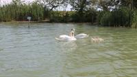 Casone Pescatori Caorle Venezia