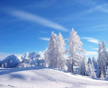 AppartamentoAppartamento Dolomiti Val Comelico