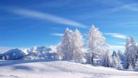 Appartamento Dolomiti Val Comelico