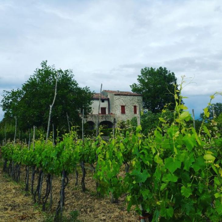 Appartamento in Antico Casale