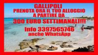 Gallipoli economica casa vacanze 50 metri dal mare