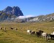 Campo Imperatore bello sia in estate che inverno