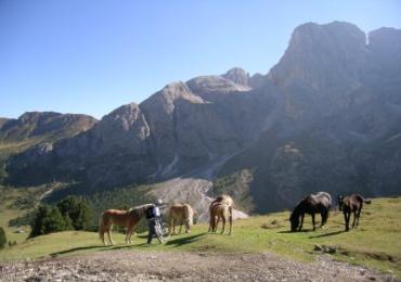 Leggi: Il Parco Regionale Sirente-Velino