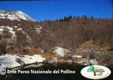 Leggi: Parco Nazionale del Pollino - Arte, Cultura e Gastronomia