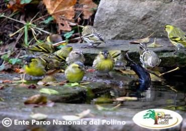 Leggi: Parco Nazionale del Pollino - Natura e Sport