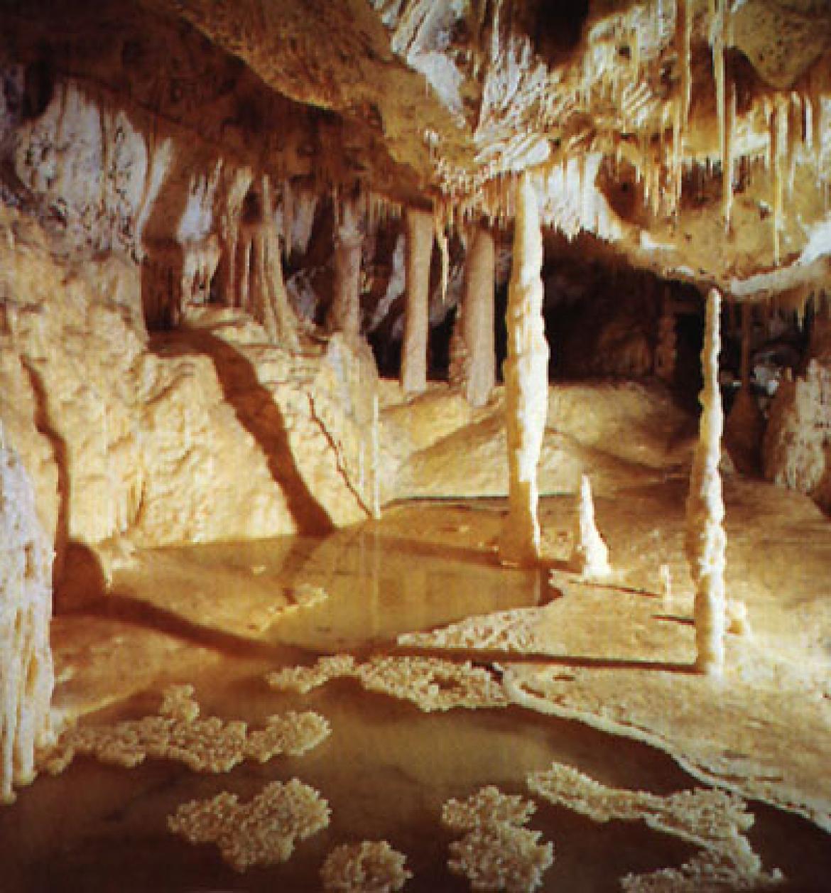 Leggi: Le Grotte di Frasassi